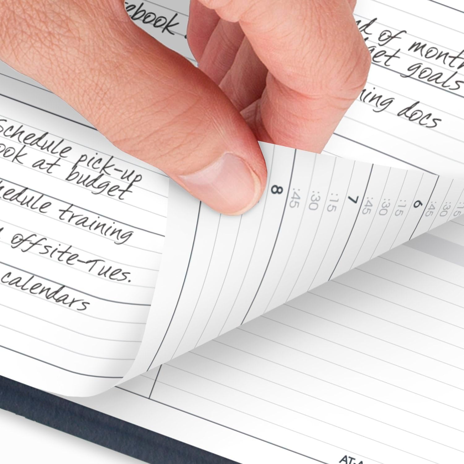 AT-A-GLANCE Weekly Appointment Book Planner, Large