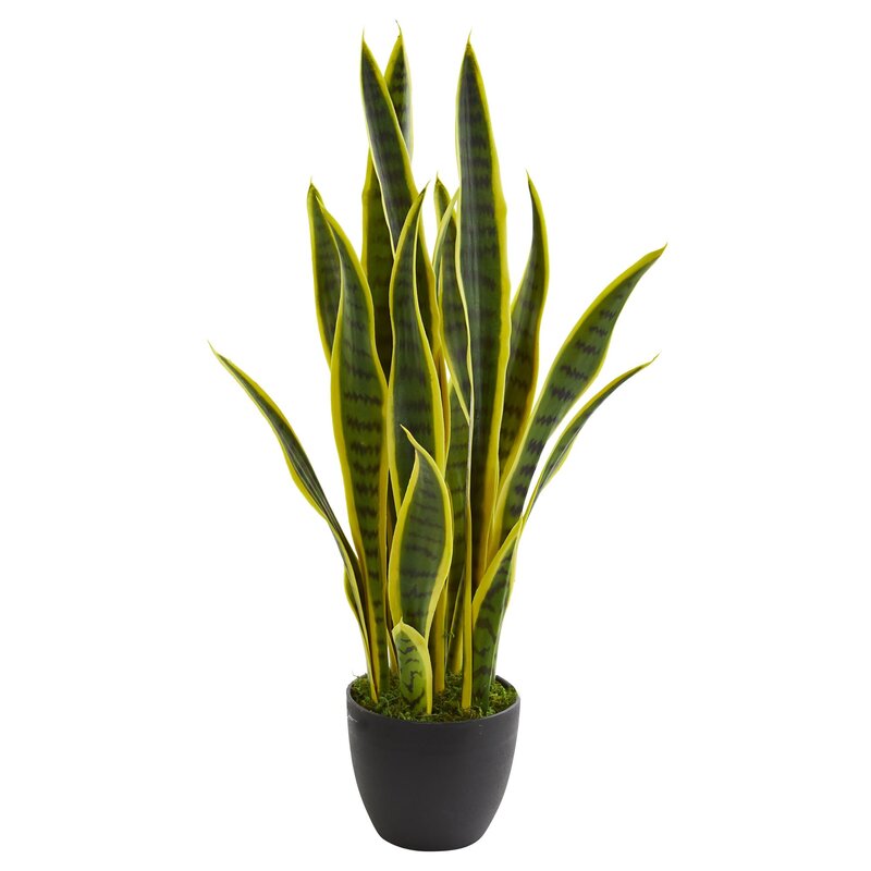 Nearly Natural Sansevieria 26in Artificial Plant With Pot, Green/Black