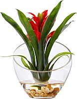 Nearly Natural Tropical Bromeliad 8inH Artificial Floral Arrangement With Angled Vase, 8inH x 6inW x 6inD, Red