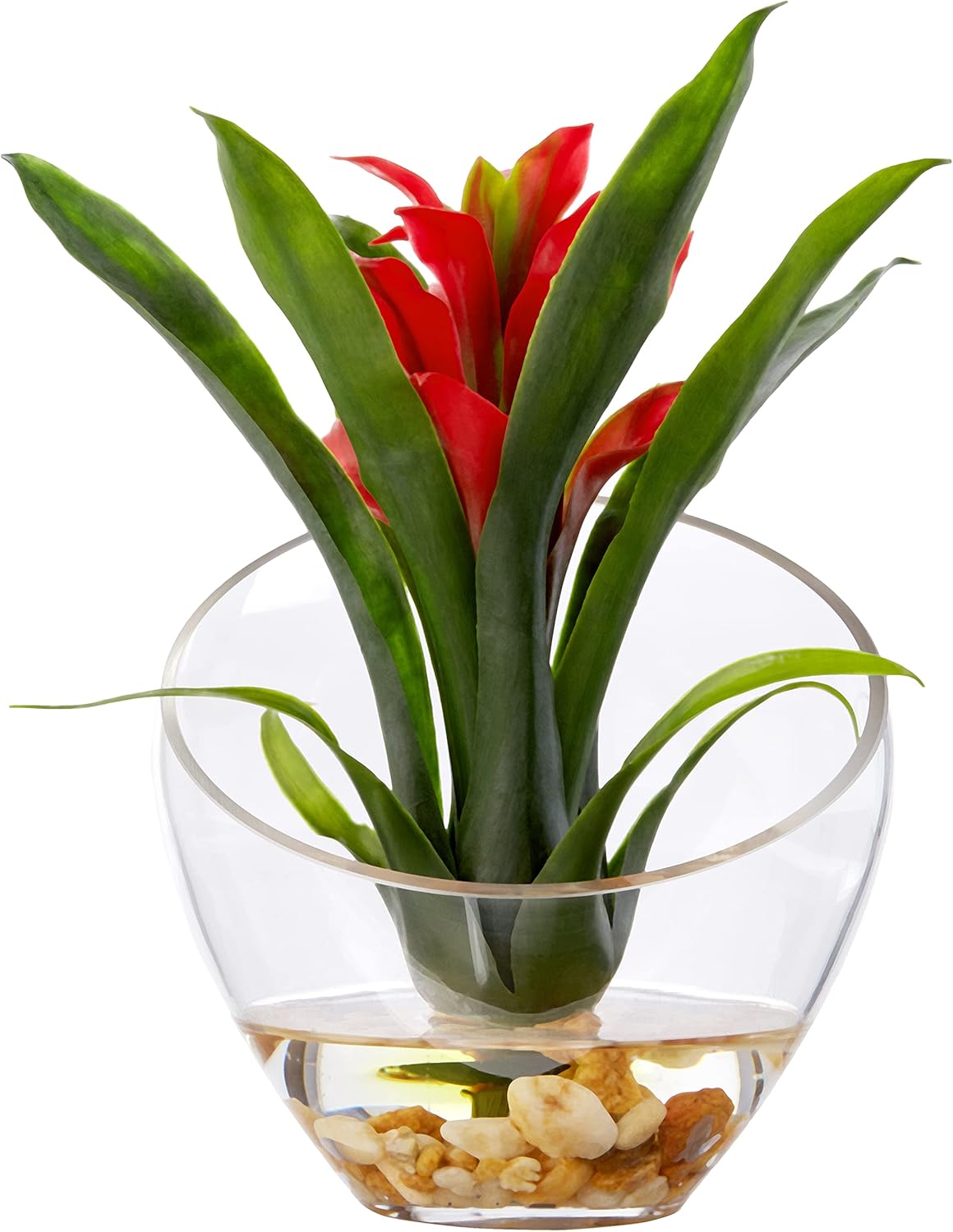 Nearly Natural Tropical Bromeliad 8inH Artificial Floral Arrangement With Angled Vase, 8inH x 6inW x 6inD, Red