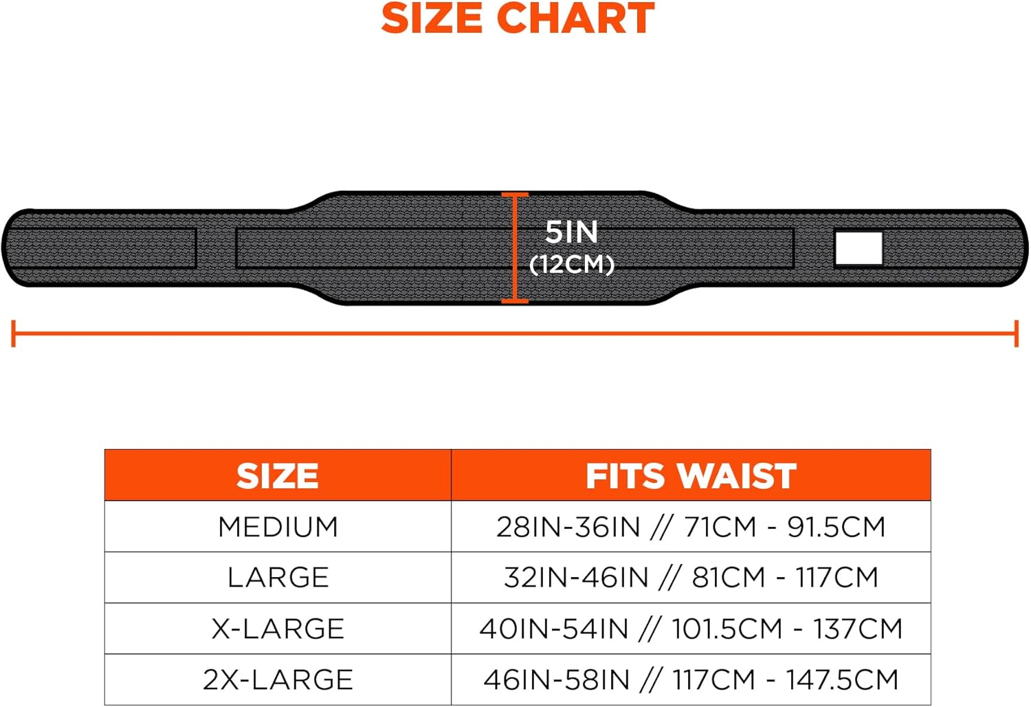 Ergodyne Arsenal Padded Adjustable Tool/Work Belt