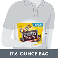 HERSHEY'S Miniatures Assorted Chocolate Candy Family Pack, 17.6 oz 17.6 Ounce (Pack of 1)