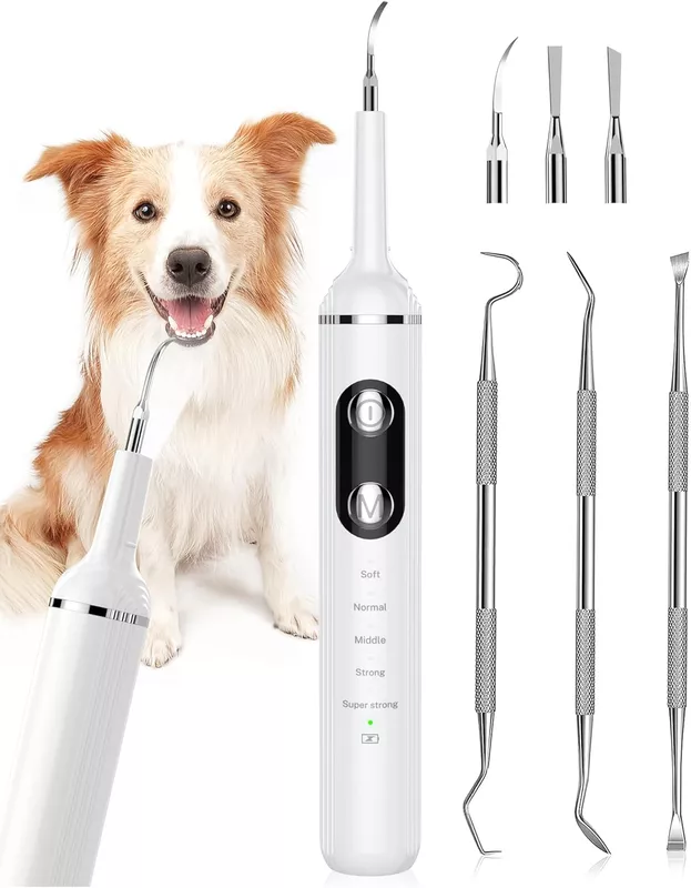kit de cepillado de dientes de mascotas