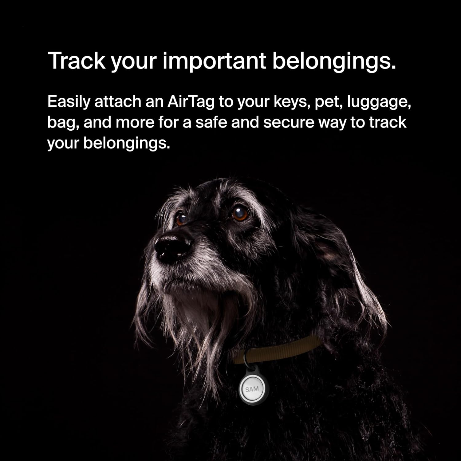 Belkin Apple AirTag Secure Holder