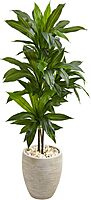 Nearly Natural 4ft. Dracaena Artificial Plant in Sand Colored Planter (Real Touch), Green