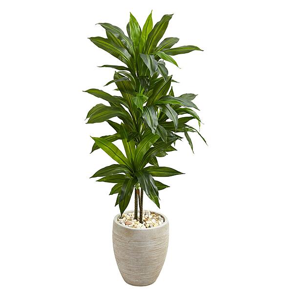 Nearly Natural 4ft. Dracaena Artificial Plant in Sand Colored Planter (Real Touch), Green