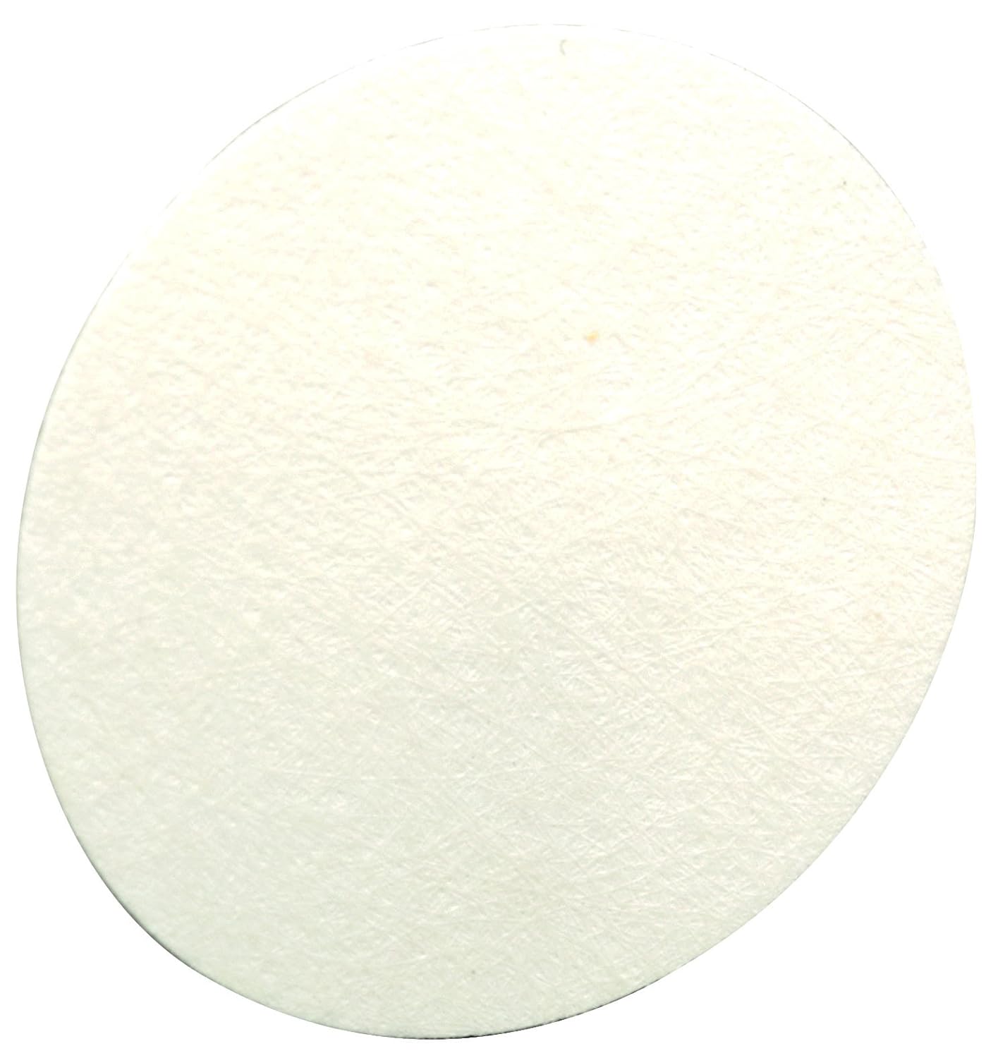 MSA 710917 Inlet Water Filter for FiveStar Alarm and Passport Personal Alarm Gas Monitor