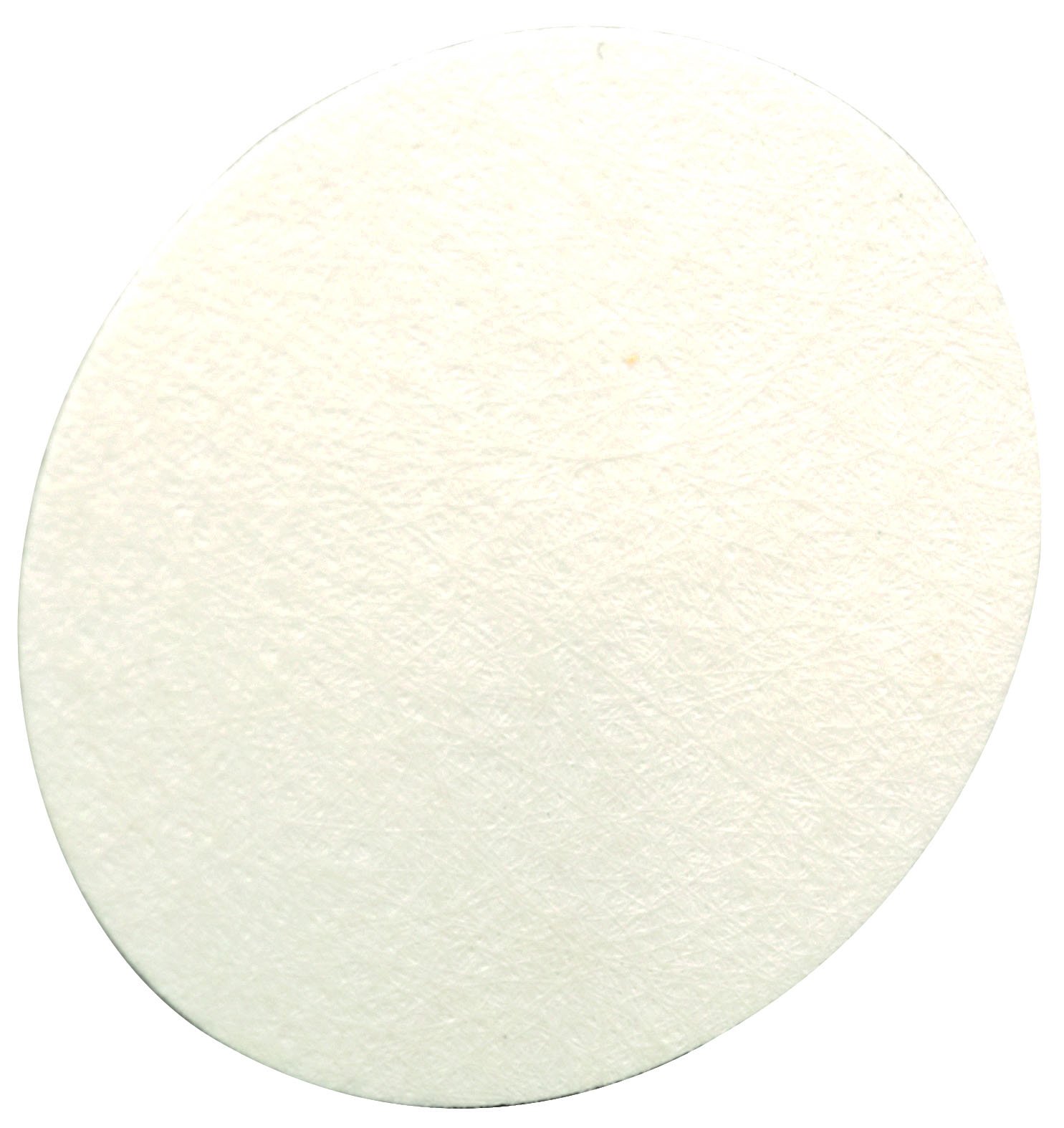 MSA 710917 Inlet Water Filter for FiveStar Alarm and Passport Personal Alarm Gas Monitor