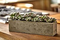 Nearly Natural Succulent 5-1/2inH Plastic Garden With Textured Concrete Planter, 5-1/2inH x 13-1/2inW x 4-1/2inD, Green