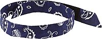 Ergodyne Chill-Its 6705 Evaporative Cooling Bandana