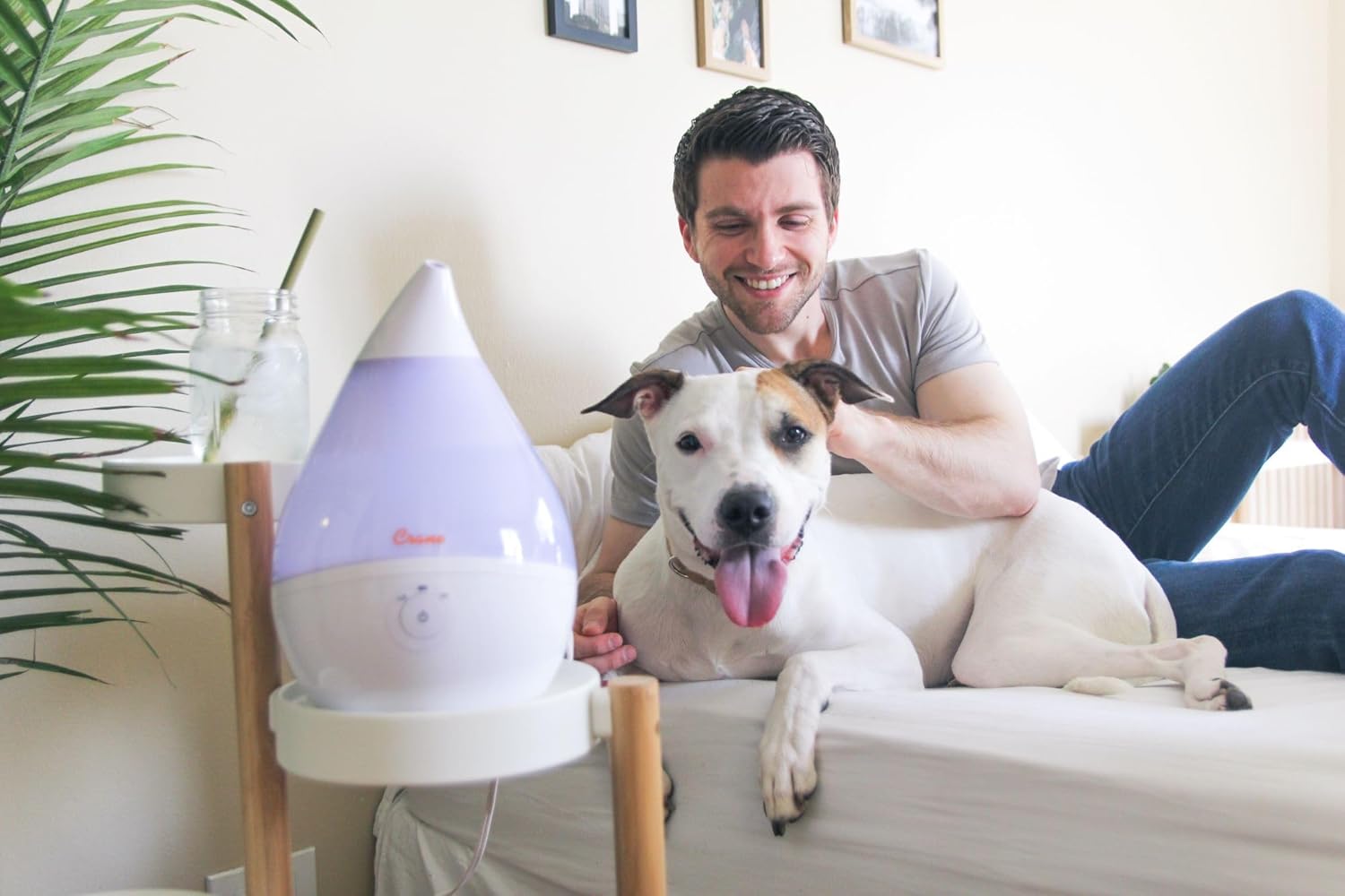 CRANE Droplet/Teardrop Ultrasonic Cool Mist Humidifier, 0.5 Gallon