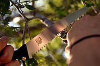 Outdoor Edge GrizSaw - Lightweight T-Handle Fixed Blade Outdoor-Hunting Saw with 8.0", 65Mn Spring Steel Blade for Cutting Tough Bone and Wood and Locking Zytel Sheath with Swivel Clip Belt Attachment