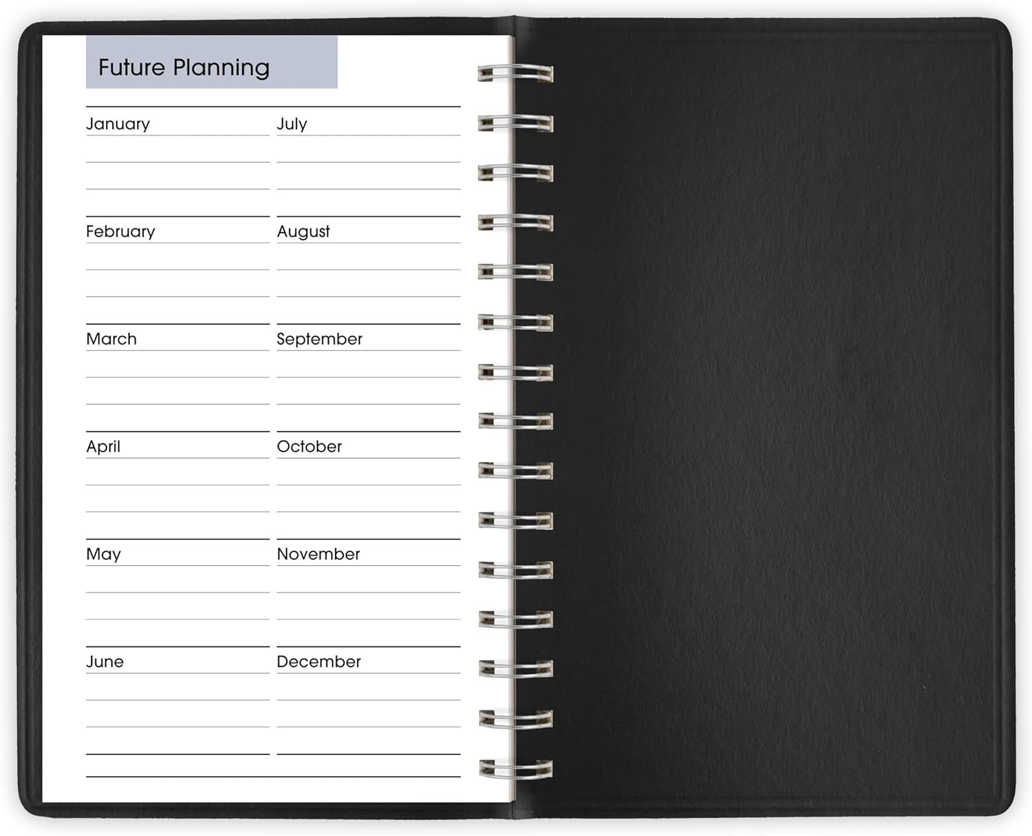 AT-A-GLANCE 2026 Appointment Book Planner, Daily, 5" x 8", Small, Quarter-Hourly, DayMinder, Black (G1000026)