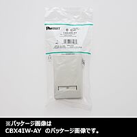 Panduit CBX4IW-AY 4-Port Surface Mounting Box for LD3/LDPH3/LD5/LDPH5, Off White