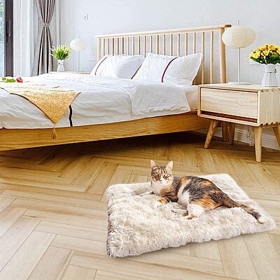 Petbroo Mat Bed - 60x45x5cm Petbroo Mat Bed - 60x45x5cm