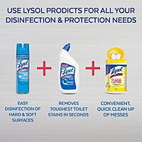 Lysol Professional Disinfectant Spray, Crisp Linen, 19 oz
