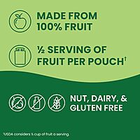 GoGo squeeZ Applesauce and Fruit Puree, Apple Apple, 3.2 oz (Pack of 18), Unsweetened Fruit Snacks for Kids, Gluten Free