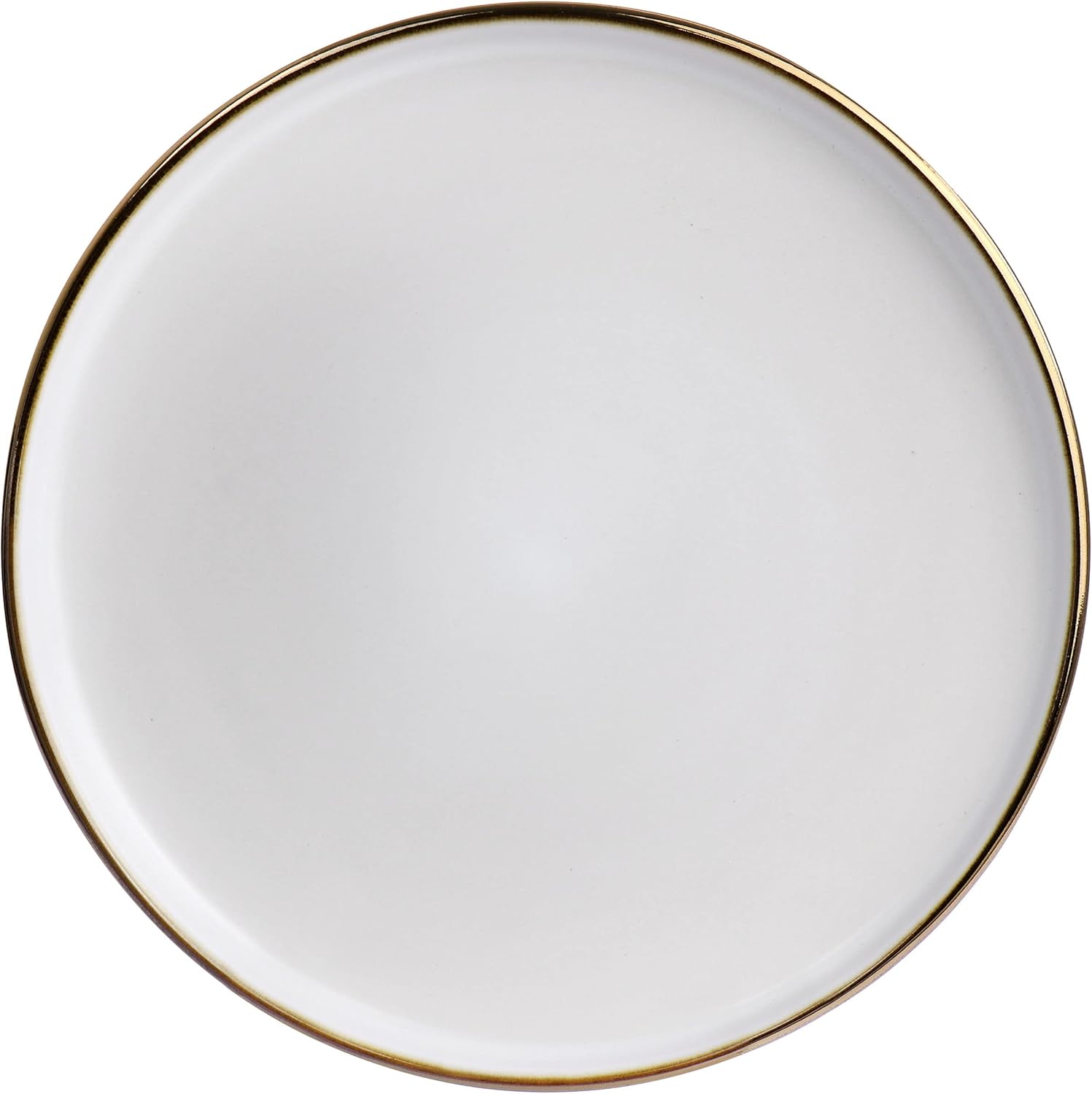 ELAMA 6-Piece Matte Stoneware Salad Plate Set with Gold Rim