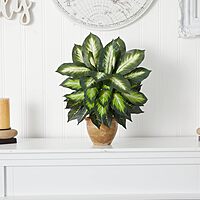 Nearly Natural 18inH Dieffenbachia Artificial Plant With Ceramic Planter, 18inH x 16inW x 16inD, Tan/Green