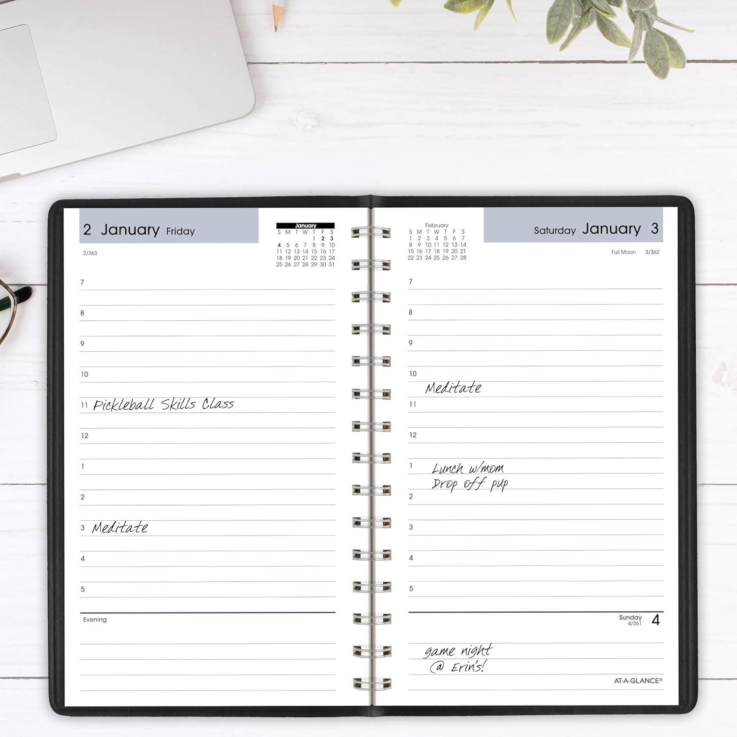 AT-A-GLANCE 2026 Appointment Book Planner, Daily, 5" x 8", Small, Hourly, DayMinder, Black (SK440026)