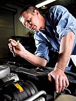 Streamlight 65031 Stylus Glare Guard