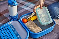 Hydro Flask Kids Small Insulated Lunch Box Peony