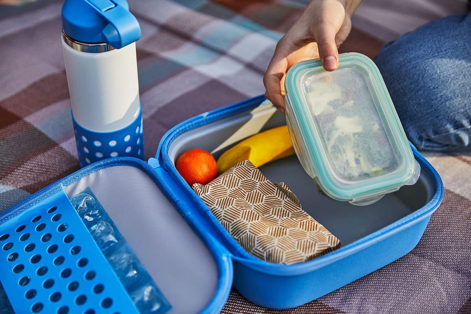 Hydro Flask Kids Small Insulated Lunch Box Peony