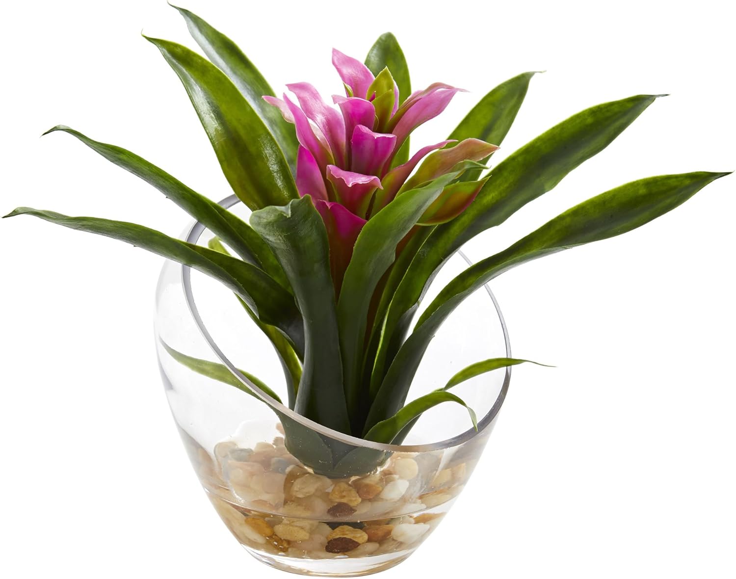 Nearly Natural Tropical Bromeliad 8inH Artificial Floral Arrangement With Angled Vase, 8inH x 6inW x 6inD, Purple
