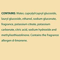 Clorox CloroxPro EcoClean All-Purpose Cleaner Spray Bottle, 32 Fluid Ounces