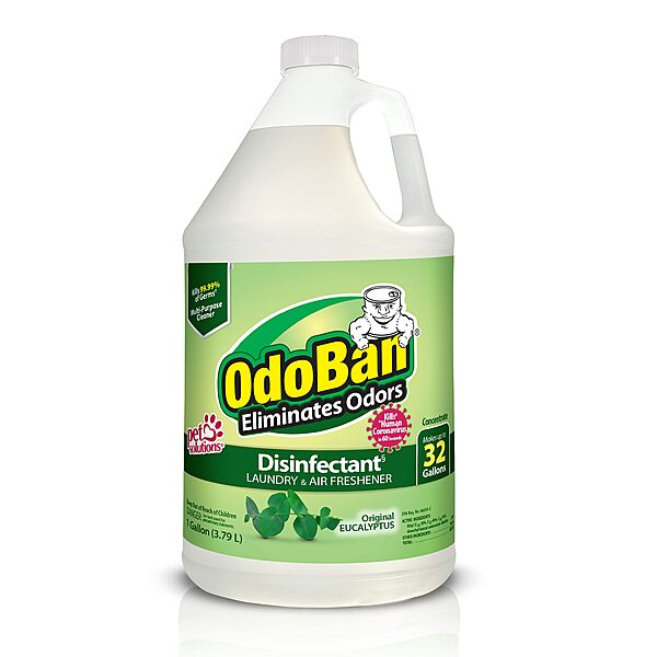 OdoBan Disinfectant Concentrate and Odor Eliminator, 1 Gallon, Original Eucalyptus Scent Eucalyptus 128 Fl Oz (Pack of 1)