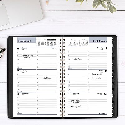 AT-A-GLANCE DayMinder Weekly Appointment Book Planner