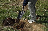 Wood D-Handle Drain Spade Hardwood Handle Drain Trench Spade