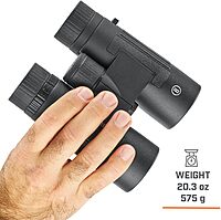 Bushnell Legend 10x42 Binoculars