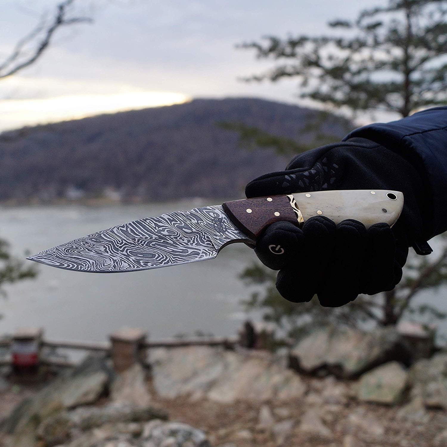 BucknBear Custom Handmade Fixed Blade Damascus Hunting Knife (Bone/Walnut Handle)