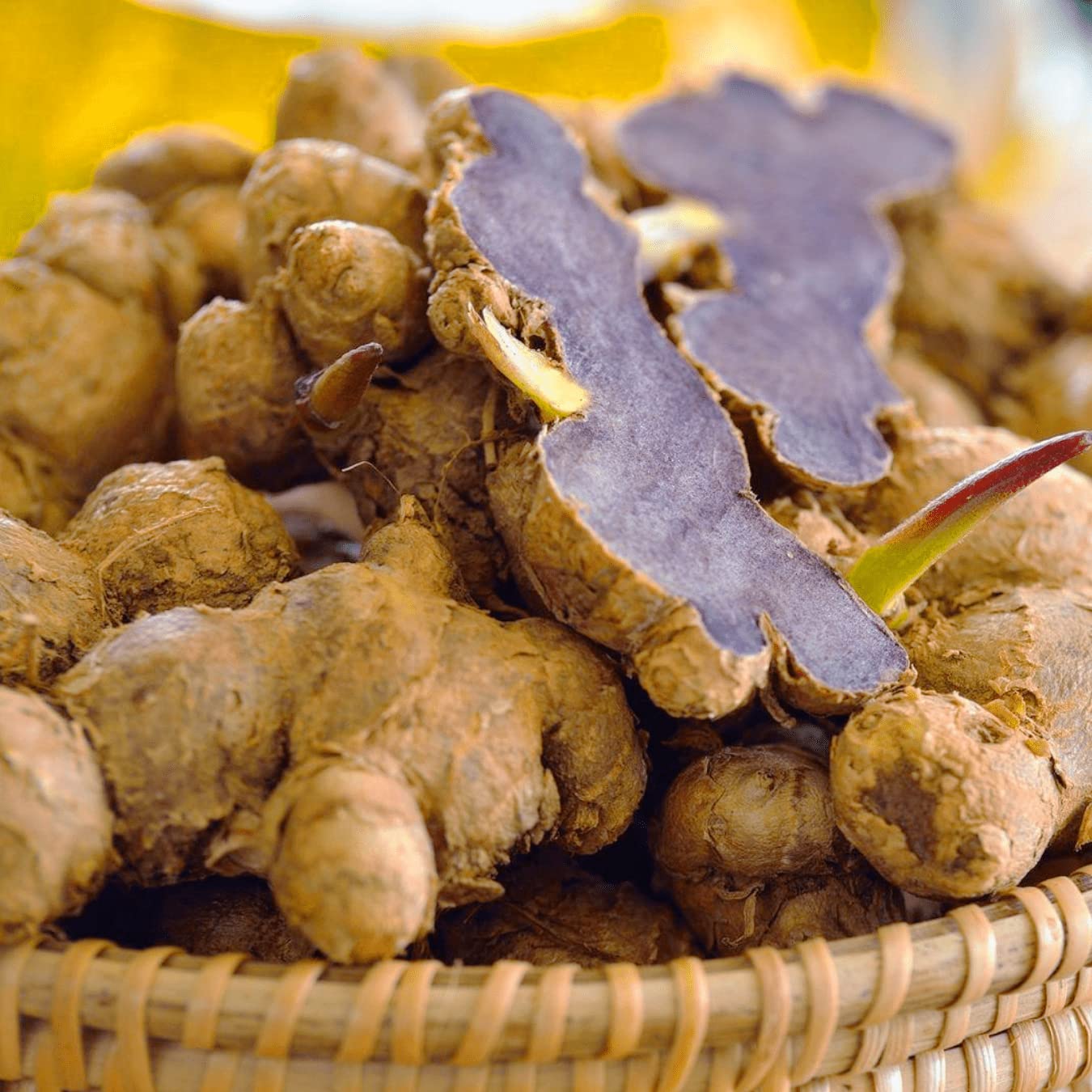 கருப்பு இஞ்சி 50GRM|black ginger