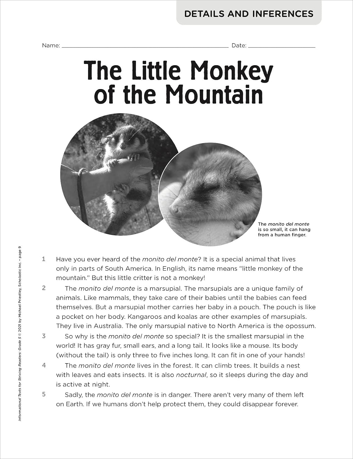 Scholastic Informational Texts for Striving Readers: Grade 5 (Indian Head)