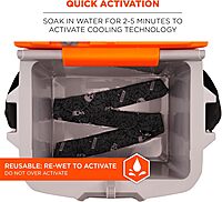 Ergodyne Chill-Its 6705 Evaporative Cooling Bandana