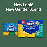 Clorox Disinfecting Wipes Value Pack, Cleaning Wipes, 75 Count Each, Pack of 3 (Package May Vary) Standard Packaging