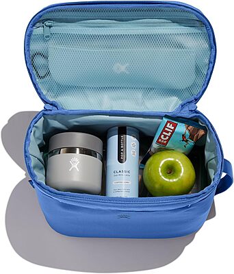 HYDRO FLASK Lunch Bag – Insulated Adult Lunch Cooler