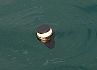 RAILBLAZA Boat Navigation Dinghy Visibility Light Kit for Bow and Stern, Battery Powered, Meets USCG Standards