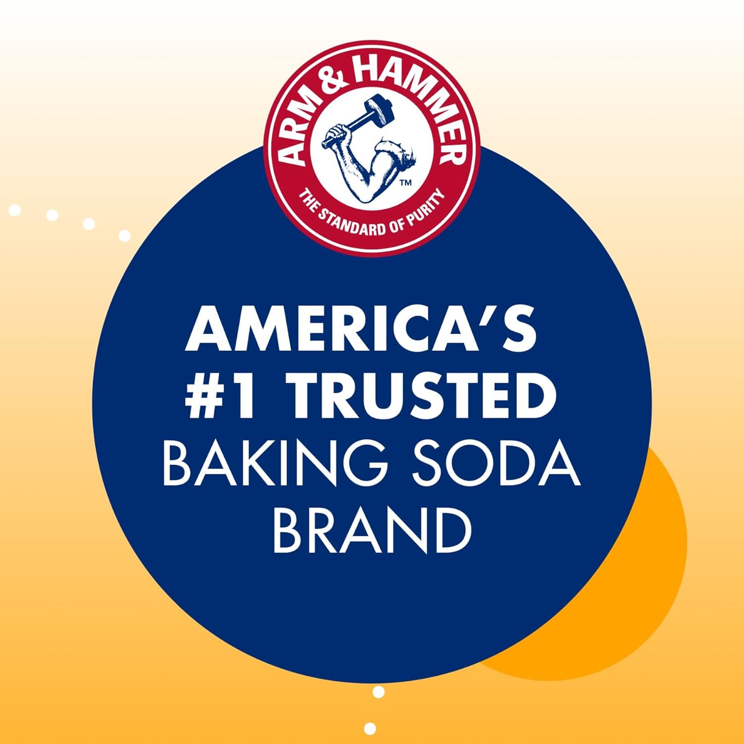 Arm & Hammer 33200-84104 Baking Soda, 16 oz (Pack of 24) 16 Ounce (Pack of 24)