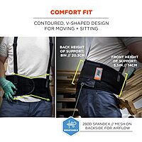 Ergodyne ProFlex 100 Economy Spandex Back Support Brace