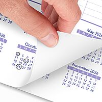 AT-A-GLANCE Monthly Wall Calendar