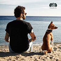 TOADFISH Non-Tipping Dog Bowl - Double-Walled Stainless Steel with SmartGrip