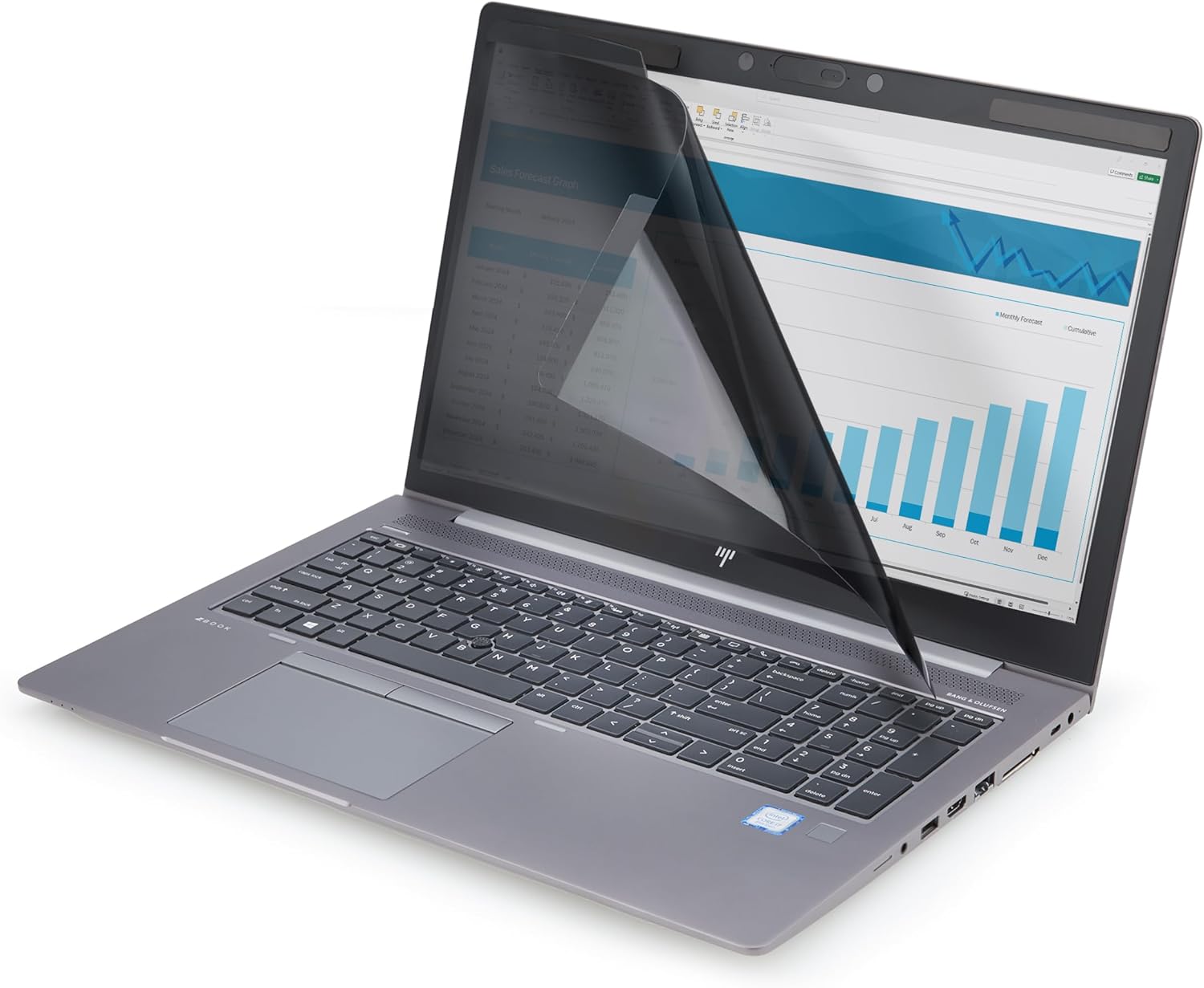 StarTech.com Magnetic Privacy Screen for 14-Inch 16:9 Laptop, Reversible Filter, Computer Screen Protector/Shield, TAA