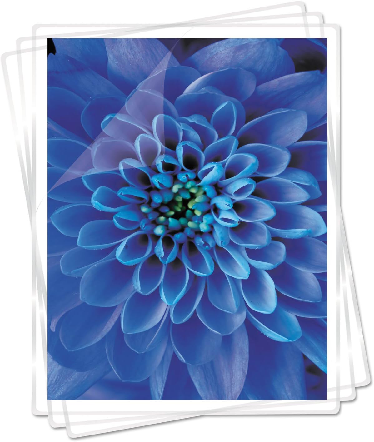 Fellowes Clear Laminating Pouches, 9in x 11 1/2in, 7 Mil Thickness, Glossy, Pack Of 100