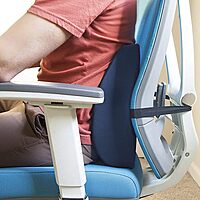 DMI Lumbar Support Pillow for Chair to Assist with Back Support with Removable Washable Cover to Ease Lower Back Pain