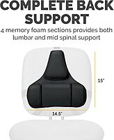 Fellowes Professional Series Back Support with Microban Protection, Black (8037601)