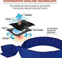 Ergodyne Chill Its 6700 Cooling Bandana, Evaporative Polymer Crystals for Cooling Relief, Tie for Adjustable Fit, Blue Solid Blue 1 Count (Pack of 1)