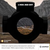 LEUPOLD Freedom RDS Red Dot Sight, 1.0 MOA